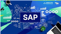 SAP Training Course